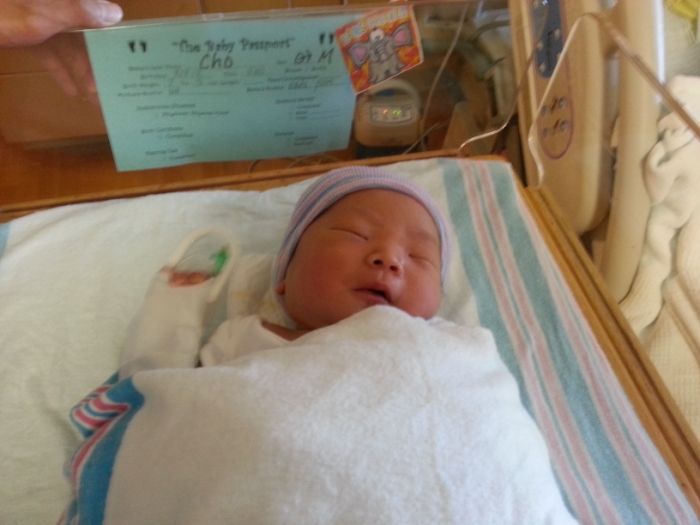 20120929_125233 [800x600].jpg